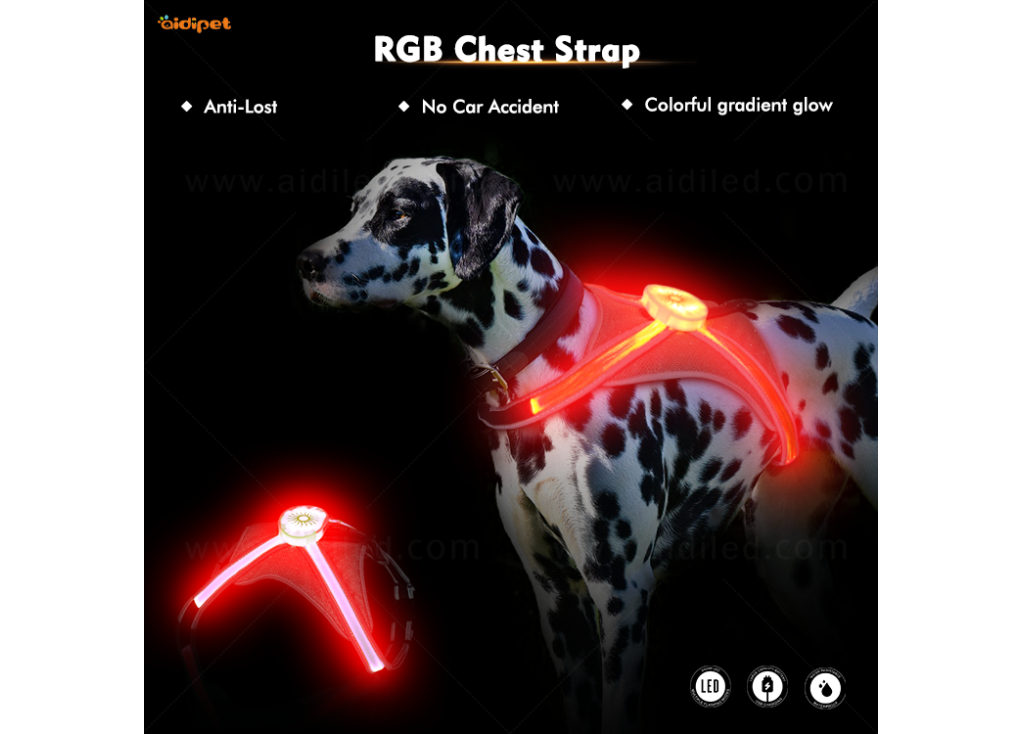 Collier Credible RGB Light Pet - Une excellente idée cadeau pour les animaux de compagnie