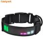 Pet Accessories Recharge Safety LED Light Dog Collar