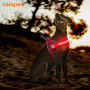 Wholesales Dog Led Harness Pet Products Dog Accessories No Pull Pet Harness Vest Dog Leash and Harness