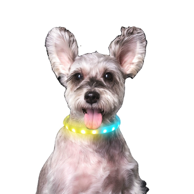 Flashing Lights Dog Collar with RGB LED Multi-color Light USB Rechargeable Silicone Dog Collars