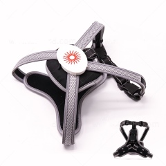 Commerce de gros de la fabrication de logo personnalisé de luxe RVB a mené le harnais de chien de compagnie de lumière harnais rechargeable d'animal familier d'USB
