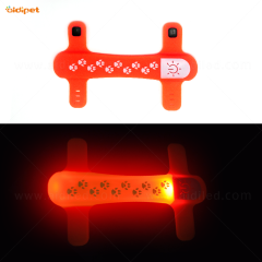 Résistant à l'eau Leed Dog Leash Light Sécurité Collier de chien Laisse Accessoires Led Dog Pet Collar Cover Light