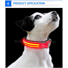 Vente en gros Glow Led Collier de chien Produits pour animaux de compagnie Chien Chat Lumière Led Collier de chien en nylon de bonne qualité et lumières de laisse
