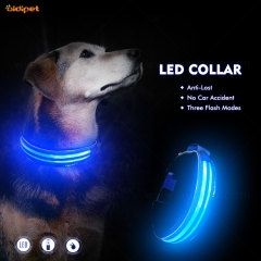wholesale colliers de chien lueur produits pour animaux de compagnie chien chat conduit collier de chien léger collier pour animaux de compagnie avec lumières LED