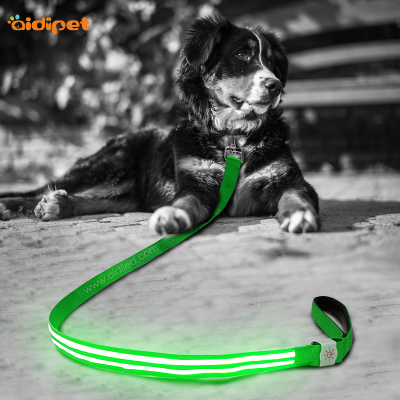 New Arrival Light Up Dog Leash Led Nylon Illuminating Led Dog Leash Rechargeable Pet Reflective Dog Leash Light