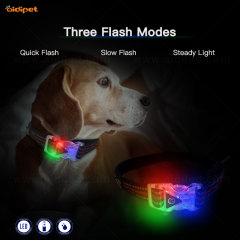 Conception en gros USB Puppy Belt Rechargeable Usb Light Up Led Collier de chien prêt à expédier pour les chiens
