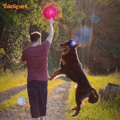 Jouet interactif pour chiens Led Flying Disc pour Pet Chase Silicone Biteable Dog Flying Discs with Led Light Pet Toy
