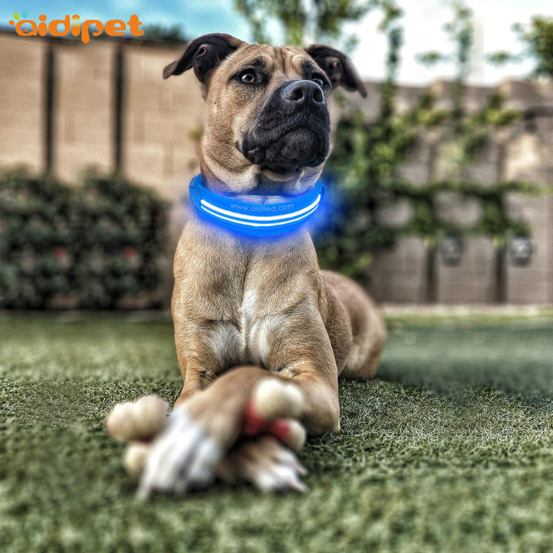 2021 New Product Wholesale Custom Designer LED Dog Collar Battery Light Up Nylon Led Collar for Dogs