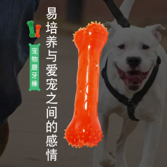 Jouets pour animaux de compagnie os de chien jouet à mâcher matériau TPR os non toxique pour les dents propre jouer chien jouet os