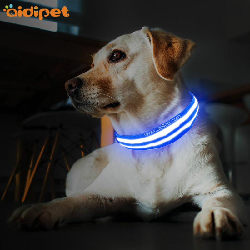 Outdoor Light Up USB Rechargeable Safety Dog Collar with Light Dual Optical Fibers Flashing Pet Collars