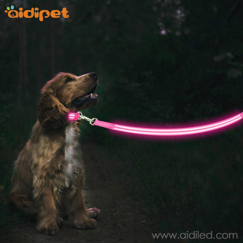 Bright Custom Logo Brand Led Dog Pet Leash Walking Outside Glow IN The Dark Dog Pet Leash