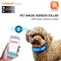 2021 Display Flashing Led Pet Collar  APP Control Blue tooth Flashing Lights Dog Collar 450mAh USB Lighted Dog Collar