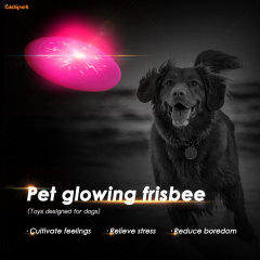 Offre spéciale Protection de l'environnement lumière clignotante Silicone souple disques volants pour chien interactif noël chien jouets