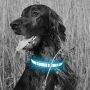 Pattern Led USB Rechargeable Flashing Dog Collar Red Blue Green Night Safety Luminous Pet Dog Collars Bulk Wholesale