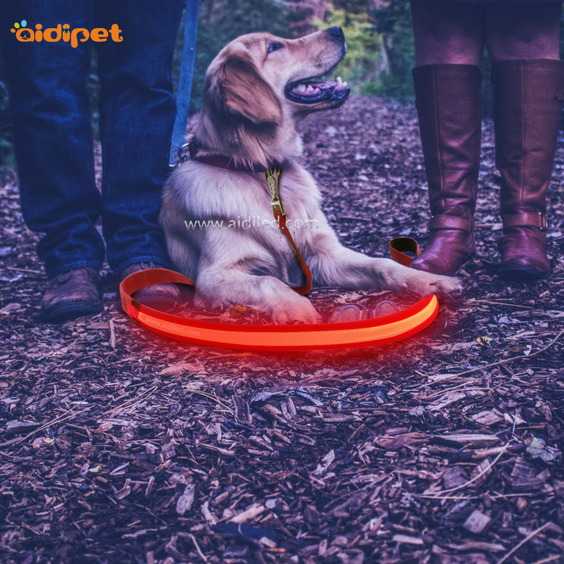 Fish Filament Nylon 2019 Sale Dog Leash with Led Light Rechargeable Red Blue Green Dog Leash Light