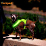 Led Dog Rechargeable Waterproof Reflective Custom Outdoor Flashing Led Pet Collar Dog Sporting LED Light Tag Safety Products