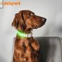 Useful Small Led Dog Leash Collar Accessory Flashing Light Dog Collar Leash Cover Light Detachable Light Dog Collar Led
