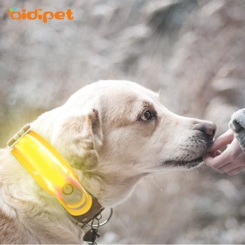 Aidi M3 2022 Dog Accessories Light Up Collar Cover Spandex Attachable Led Pet Collar and Leash Cover Light