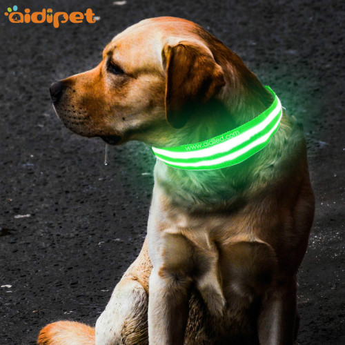 Collar De Perro Led Nylon Dog Collars Light Up Outdoor USB Rechargeable Safety in Dark Pet Collar with Led