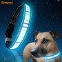 Colorful Stripe Rainbow Led Flashing Dog Collar Big Luminous Dog Collar for Night Safety USB Charging Dog Light up Collars
