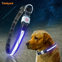 Colliers de chien LED résistants à l'eau de prix d'usine de gros pour petits chiens de taille moyenne