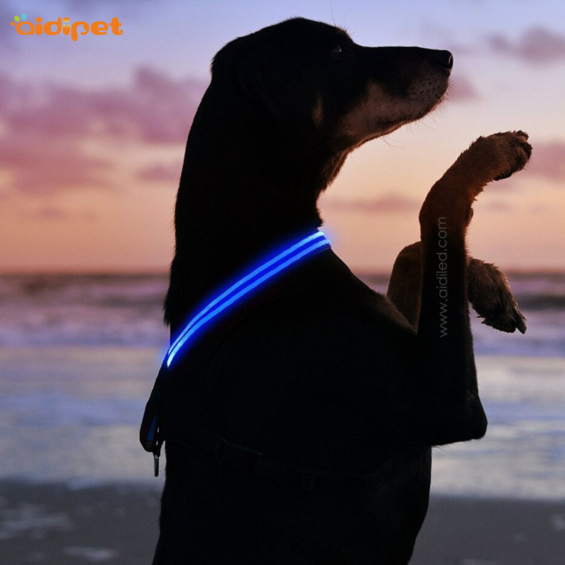 Glow in Dark Safety Harness for Sale Light up Dog Harness Vest for Small Medium Dogs Night Walking Safety