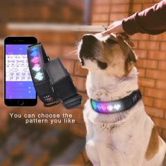 Promotional Sales New Fashion Led Display DIY Texting Anti-lost Dog Collar  Large Capacity USB Rechargeable Led Light Dog Collar