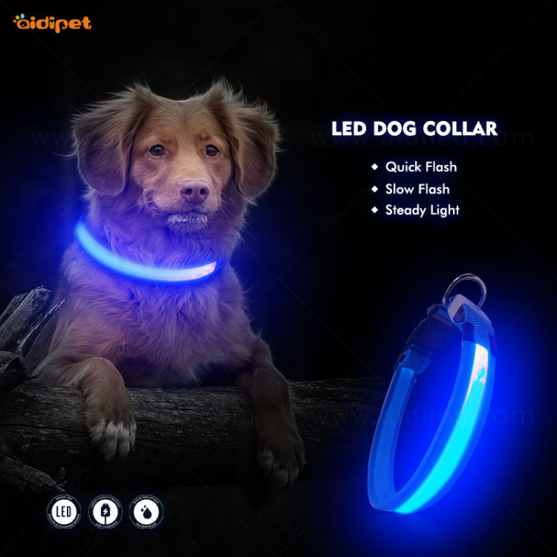 Collier LED pour chien d'animal familier rechargeable USB pour la sécurité de nuit