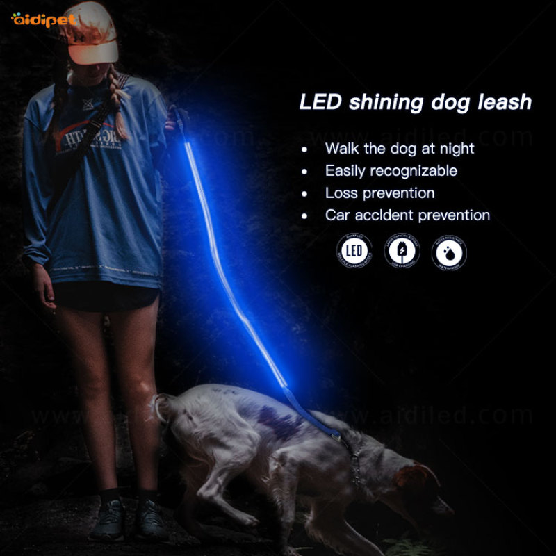 Hot Sale Fashion LED Flashing Light Dog Leash