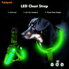 Harnais de chien LED de sécurité extérieure rechargeable USB