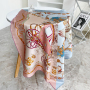 Carriage And Horse Double-faces Print 16 Momme Silk Twill Scarf