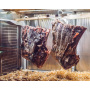 Hot sale Spain dry aging beef steaks fridge / refrigeration equipment for restaurants kitchen