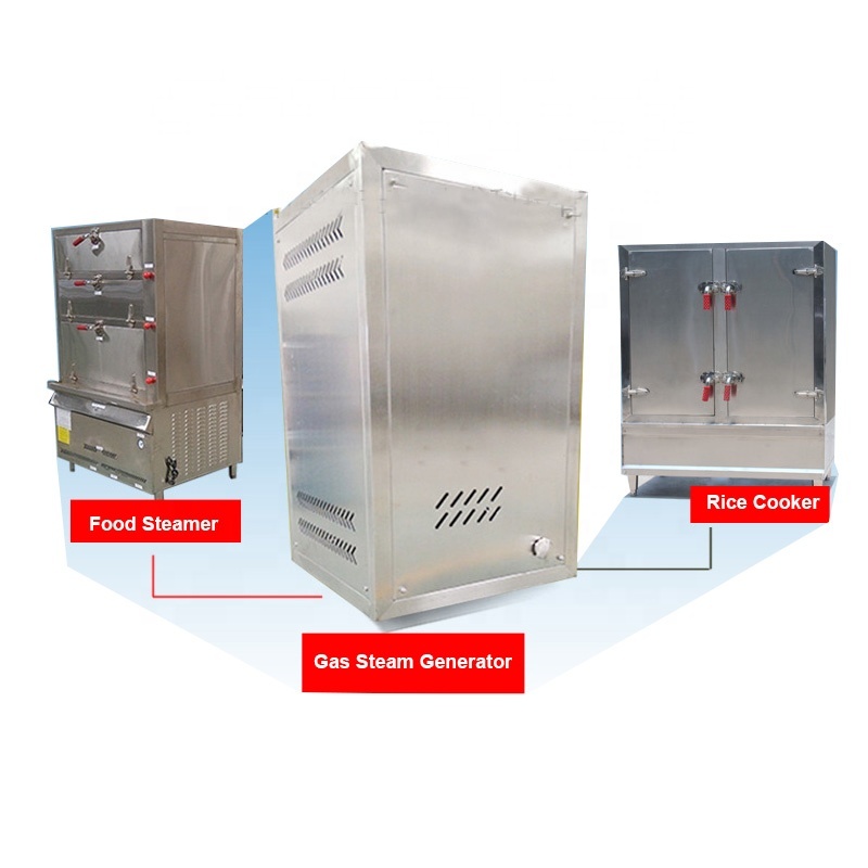 40-120kg/h capacity Automatic Lpg Gas Heating Steam Boiler Steam Generator Machine Space heating 103degree