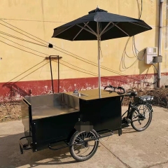Автомобиль для продажи закусок с морозильной камерой, электрический холодильник для еды, автомобиль-ресторан для еды на вынос, трехколесный велосипед с обратной ездой