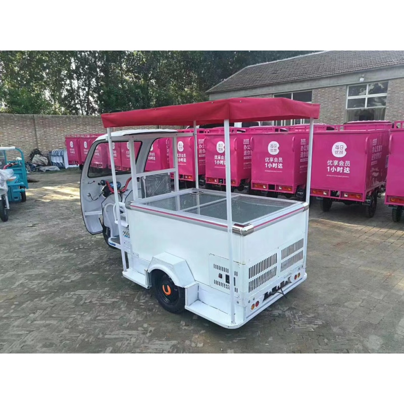 Display Tricycle Vehicle Truck freezer Food Refrigerators Chiller Popsicle Drinks Vans Carts Cargo Electric Refrigerate Showcase