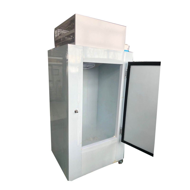 -18 degree 850L Ice Storage Refrigerator Freezer ICE cuber storage Room