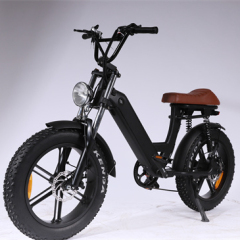 500W 48v 10ah Li Battery 2022 Motor Электрические велосипеды Цена Склад ЕС 20-дюймовая толстая шина E Электрический двигатель BIke