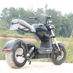 Электрический скутер Citycoco для взрослых, одобренный Eec, 1500 Вт, со съемной батареей 60V20Ah, услуга прямой доставки