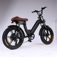 500W 48v 10ah Li Battery 2022 Motor Электрические велосипеды Цена Склад ЕС 20-дюймовая толстая шина E Электрический двигатель BIke