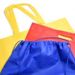 Ambiental económico imprimible reutilizable compras plegable llevar bolsa Pp bolsa de tela no tejida con asa