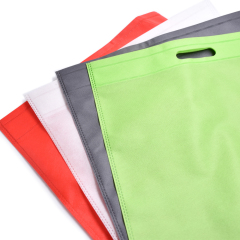Ambiental económico imprimible reutilizable compras plegable llevar bolsa Pp bolsa de tela no tejida con asa