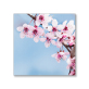 Flower Painting Printed Canvas Wall Art Poster Pictures paintings of peach blossom