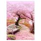 Custom Canvas Wall Art 5D Diy Crystal Homfun Diamond Painting Set Pink Sakura Diamond Paint by number for Amazon