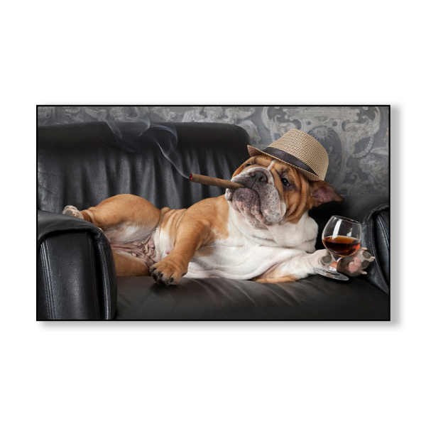 OEM&ODM design pet dog picture living room bedroom wall decorative canvas digital decorative painting