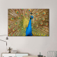 Peacock Nordic Poster Wall Art Canvas Painting Wall Pictures for Living Room Decor Mural Decoration Picture Art Print