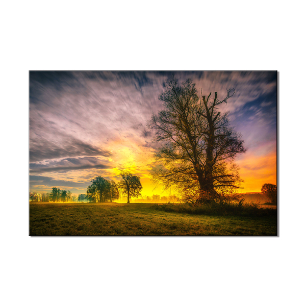 Modern Landscape Tree Forest Abstract Canvas Painting Poster Print Wall Art Picture For Living Room Home Decor No Frame