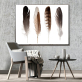 Wholesale Homestay Modern Feather Abstract Frameless custom canvas print painting