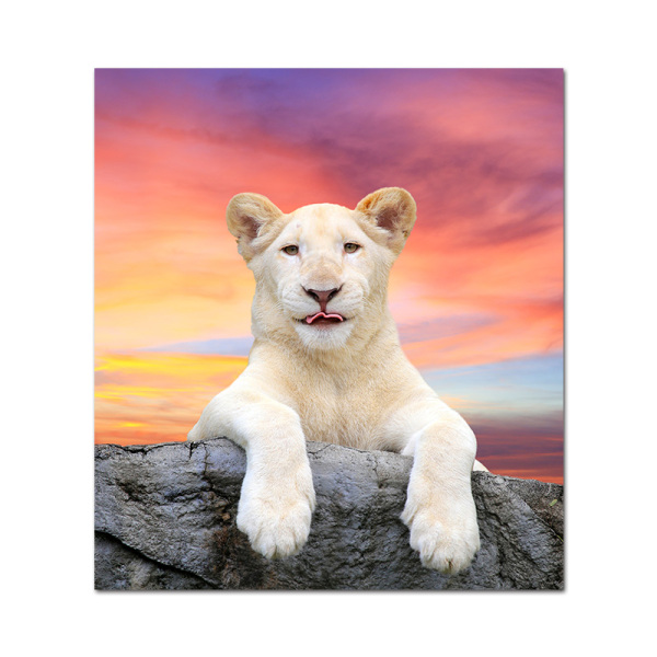 Nordic Poster and print Lion painting Baby Animal canvas Poster wall art pictures for living room Scandinavian home decoration