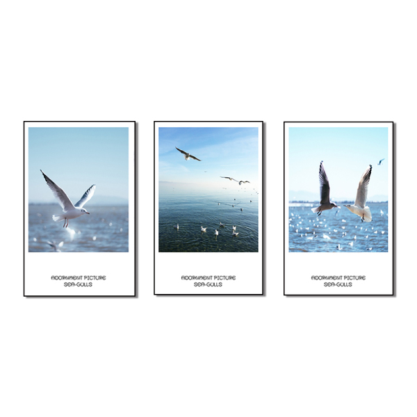 HD Seagull Poster Picture 3 Panel Modern Wall Art Canvas Printed Painting Hot Selling In AU market