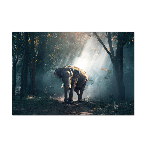 Lost Elephant Modern Frameless Printing Wall Art Home Decoration Oil Painting